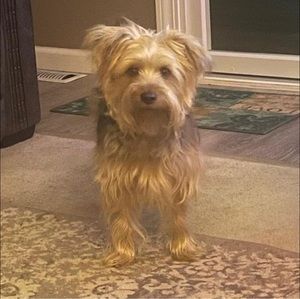 Meet your Posher, Sharon